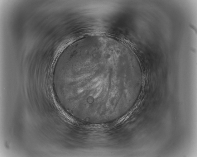 X0000099320049200805021322