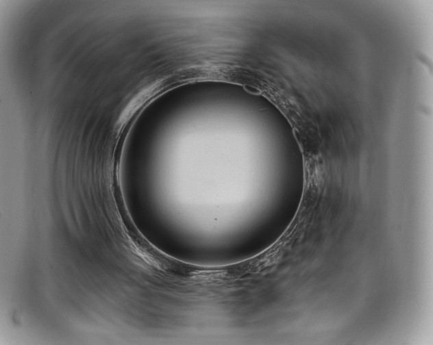 X0000099320051200805021322