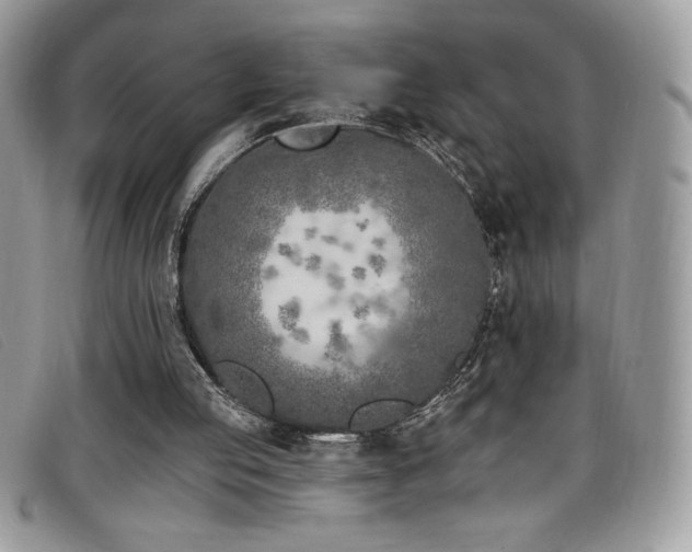 X0000099320053200805021322