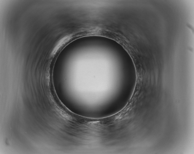 X0000099320054200805021322