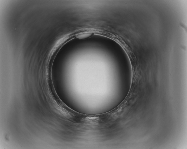 X0000099320055200805021322