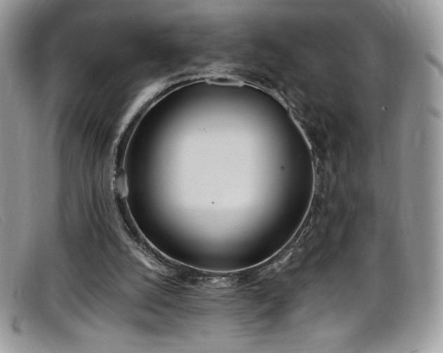 X0000099320056200805021322