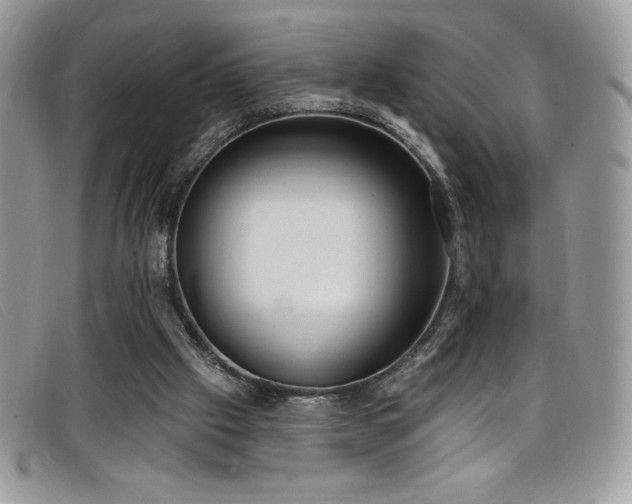 X0000099320057200805021322