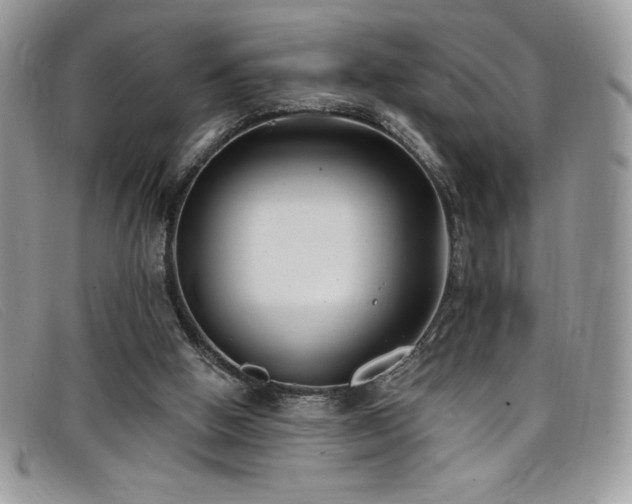 X0000099320058200805021322