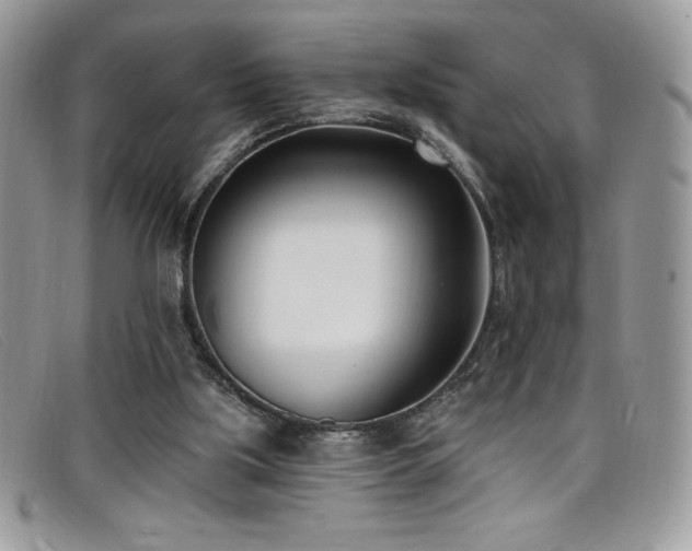 X0000099320059200805021322