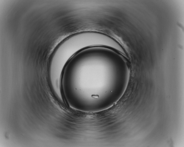 X0000099320060200805021322