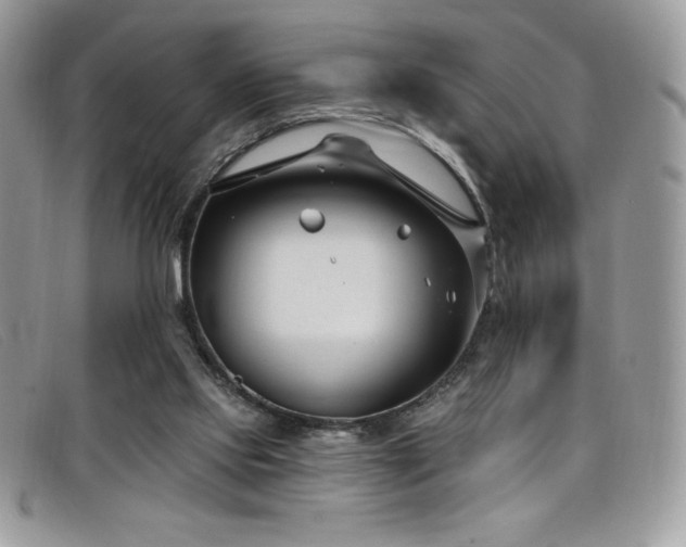 X0000099320061200805021322