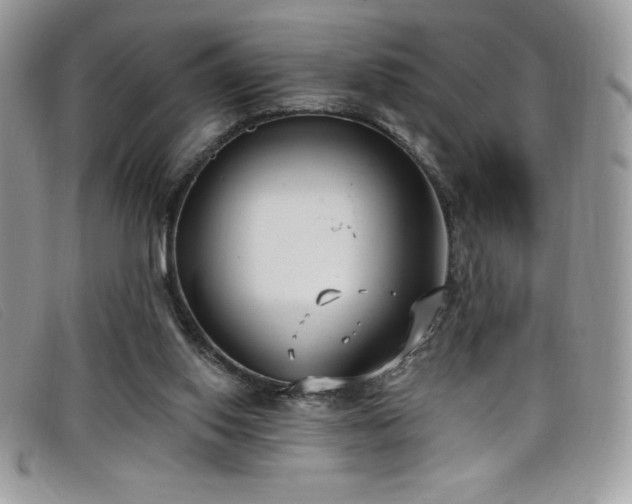 X0000099320062200805021322