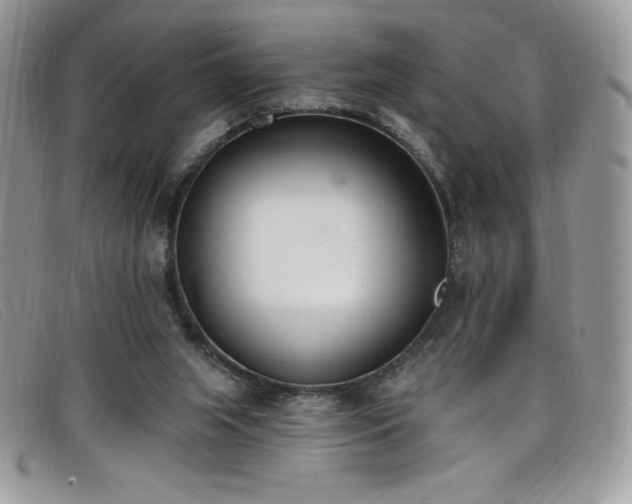 X0000099320063200805021322