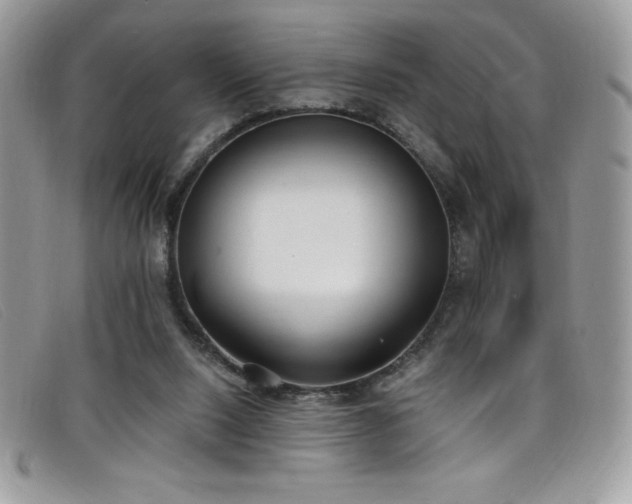 X0000099320064200805021322