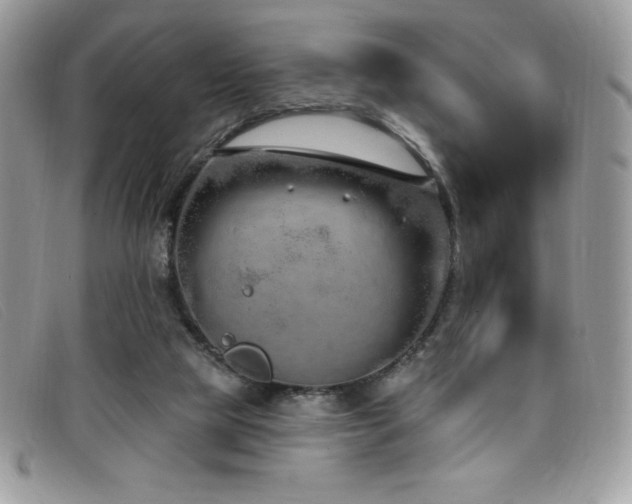 X0000099320065200805021322