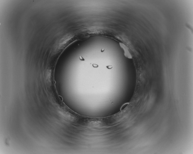 X0000099320066200805021322