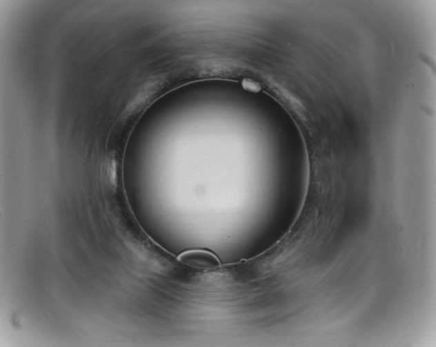 X0000099320067200805021322