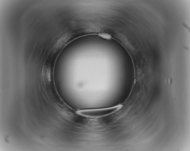 X0000099320068200805021322