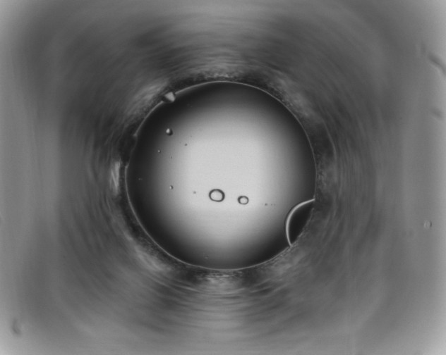 X0000099320070200805021322