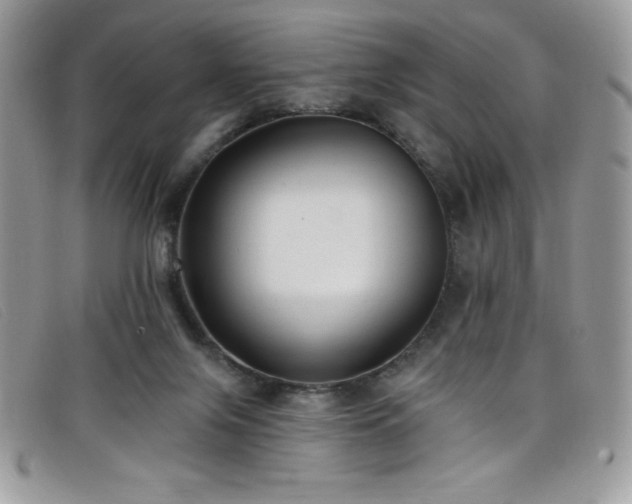 X0000099320071200805021322