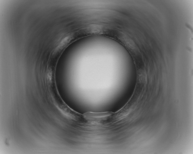 X0000099320072200805021322