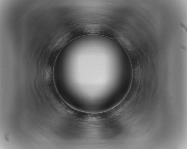 X0000099320073200805021322