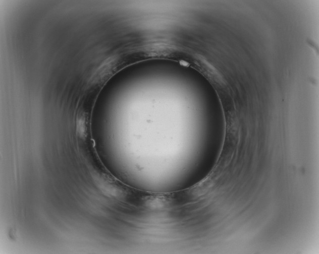 X0000099320074200805021322