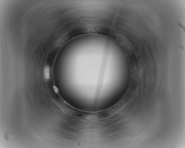 X0000099320075200805021322