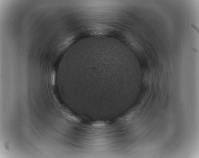 X0000099320076200805021322