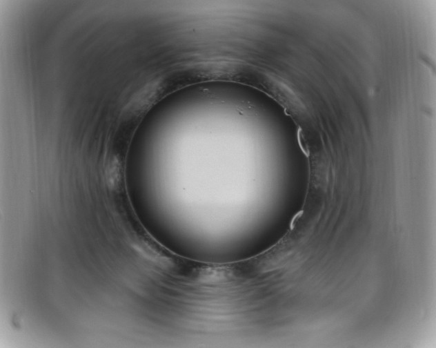 X0000099320077200805021322