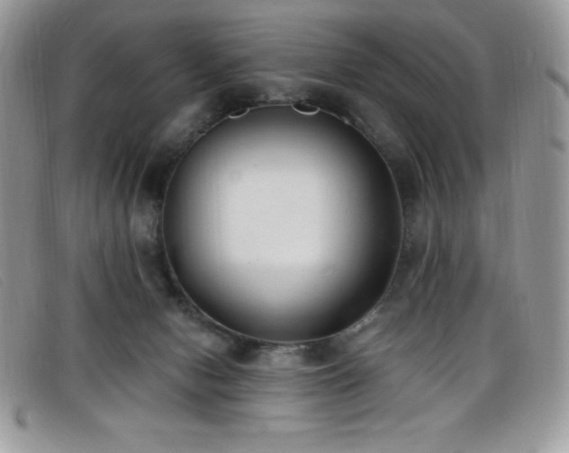 X0000099320078200805021322