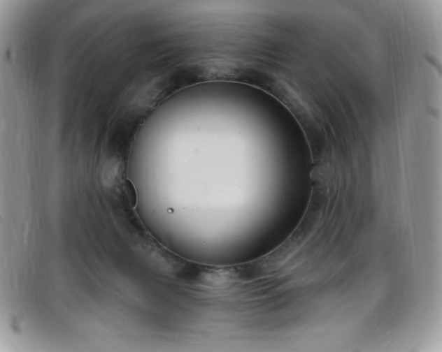 X0000099320079200805021322