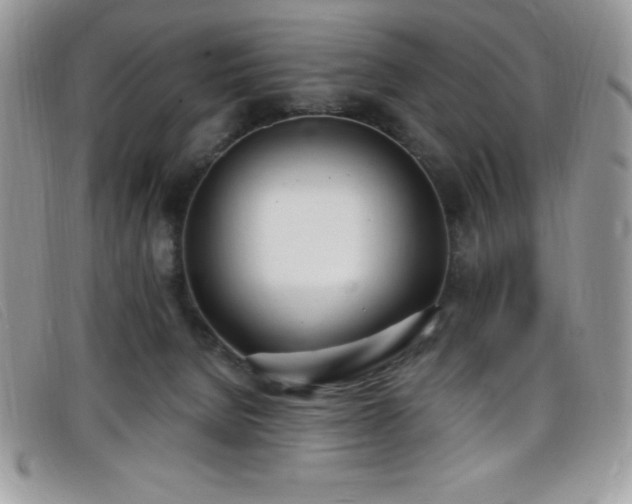 X0000099320080200805021322