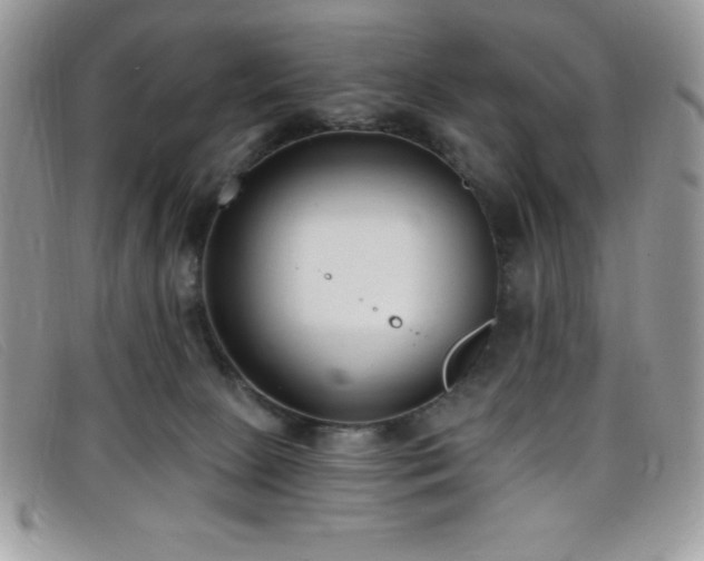 X0000099320081200805021322