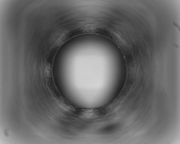 X0000099320083200805021322