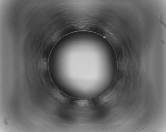 X0000099320085200805021322