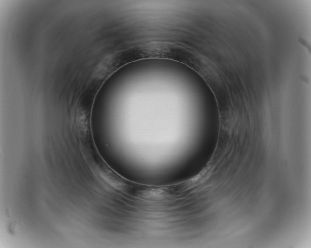 X0000099320086200805021322