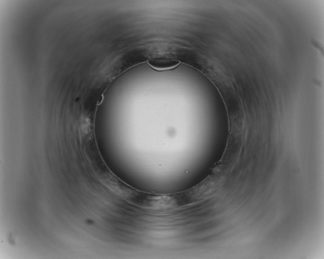 X0000099320087200805021322