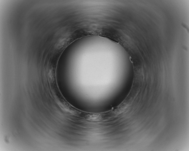 X0000099320088200805021322