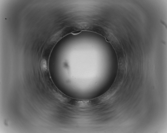 X0000099320089200805021322