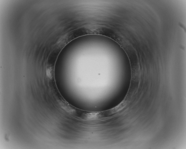 X0000099320090200805021322