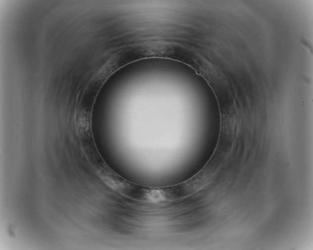 X0000099320091200805021322