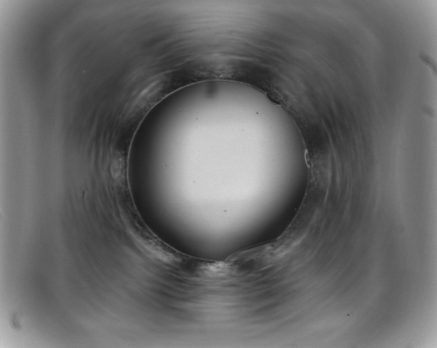 X0000099320092200805021322