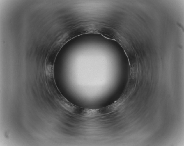 X0000099320093200805021322