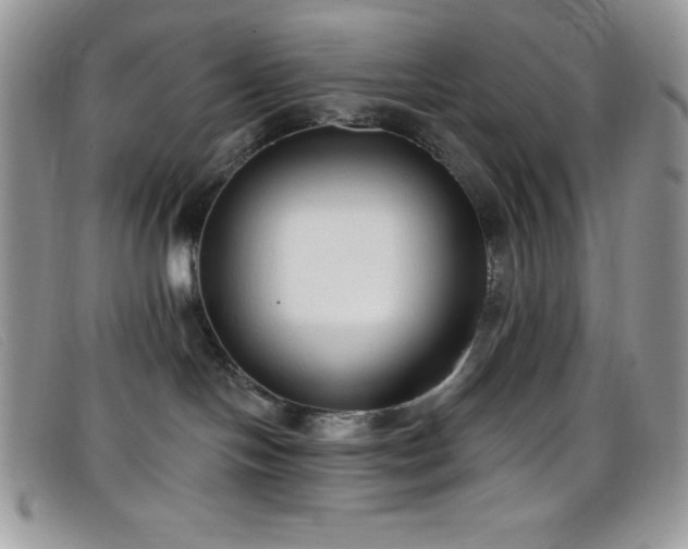 X0000099320094200805021322