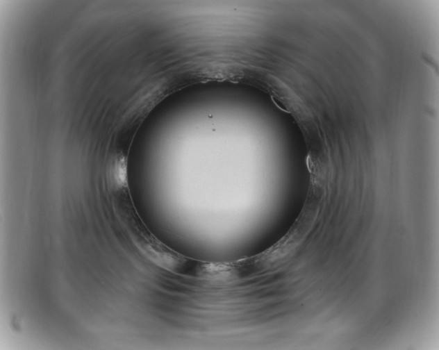 X0000099320095200805021322