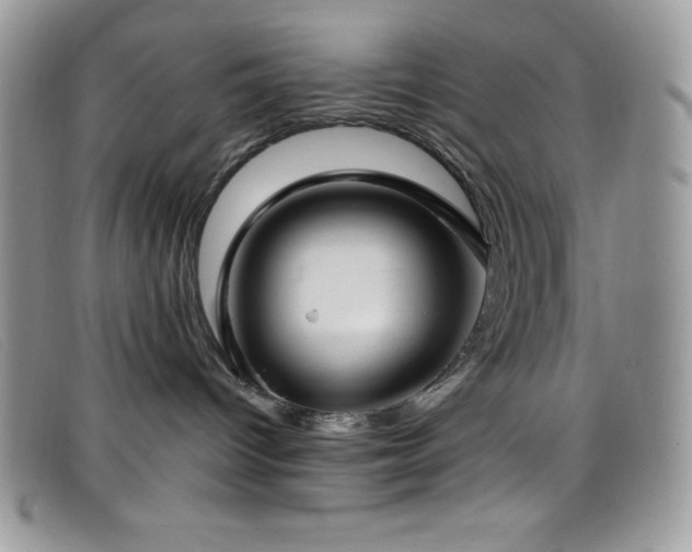 X0000099320096200805021322