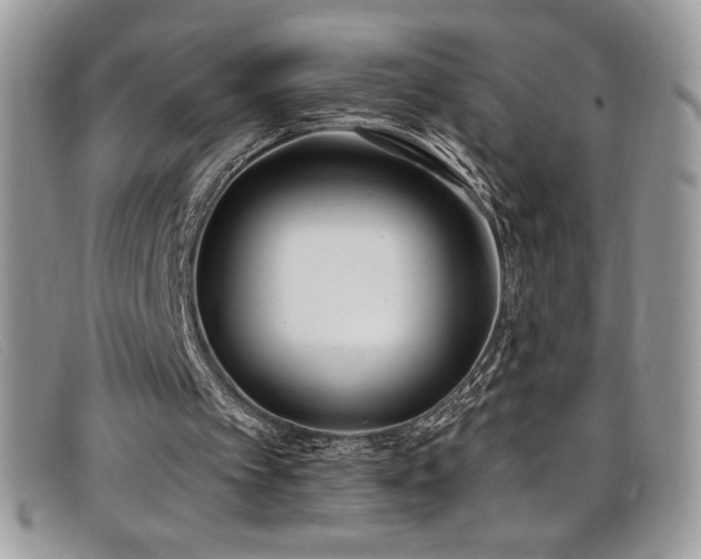 X0000099320097200805021322