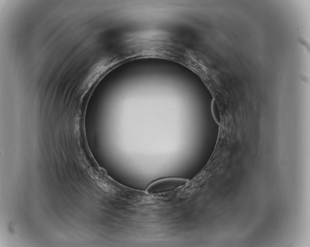 X0000099320098200805021322