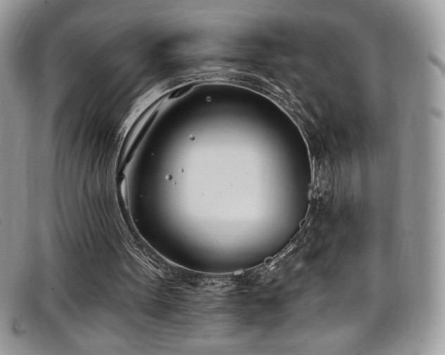 X0000099320099200805021322