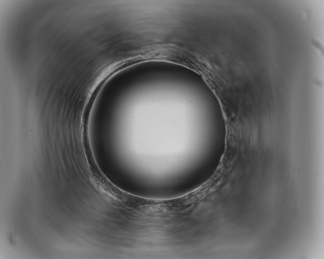 X0000099320100200805021322