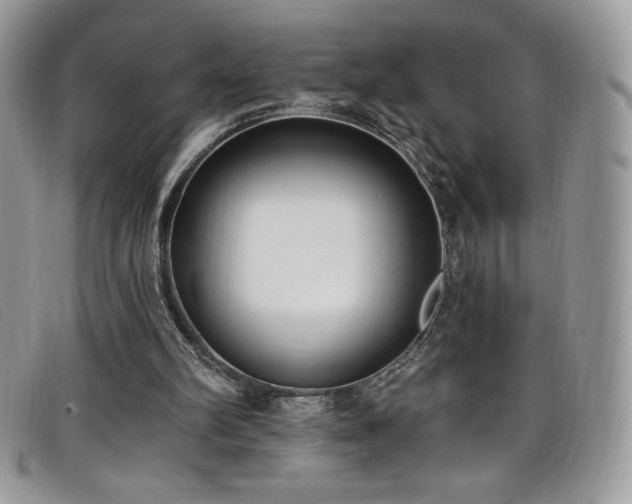 X0000099320102200805021322