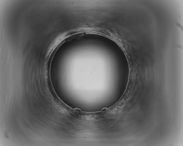 X0000099320103200805021322