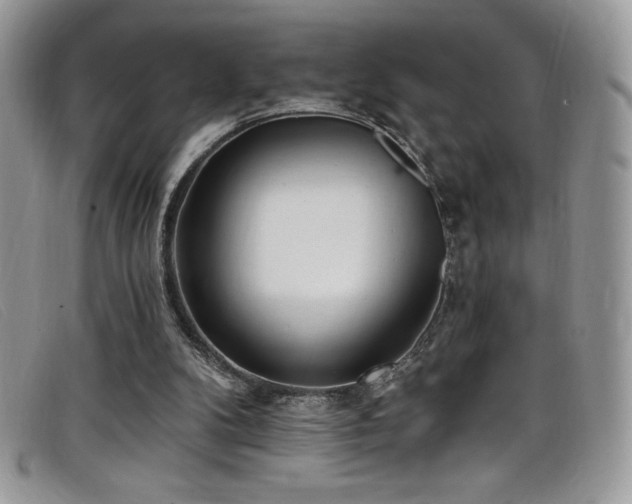 X0000099320104200805021322